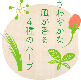 さわやかな風が香る4種のハーブ